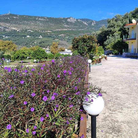 Villa Perkemes Apartments Parga Exterior photo