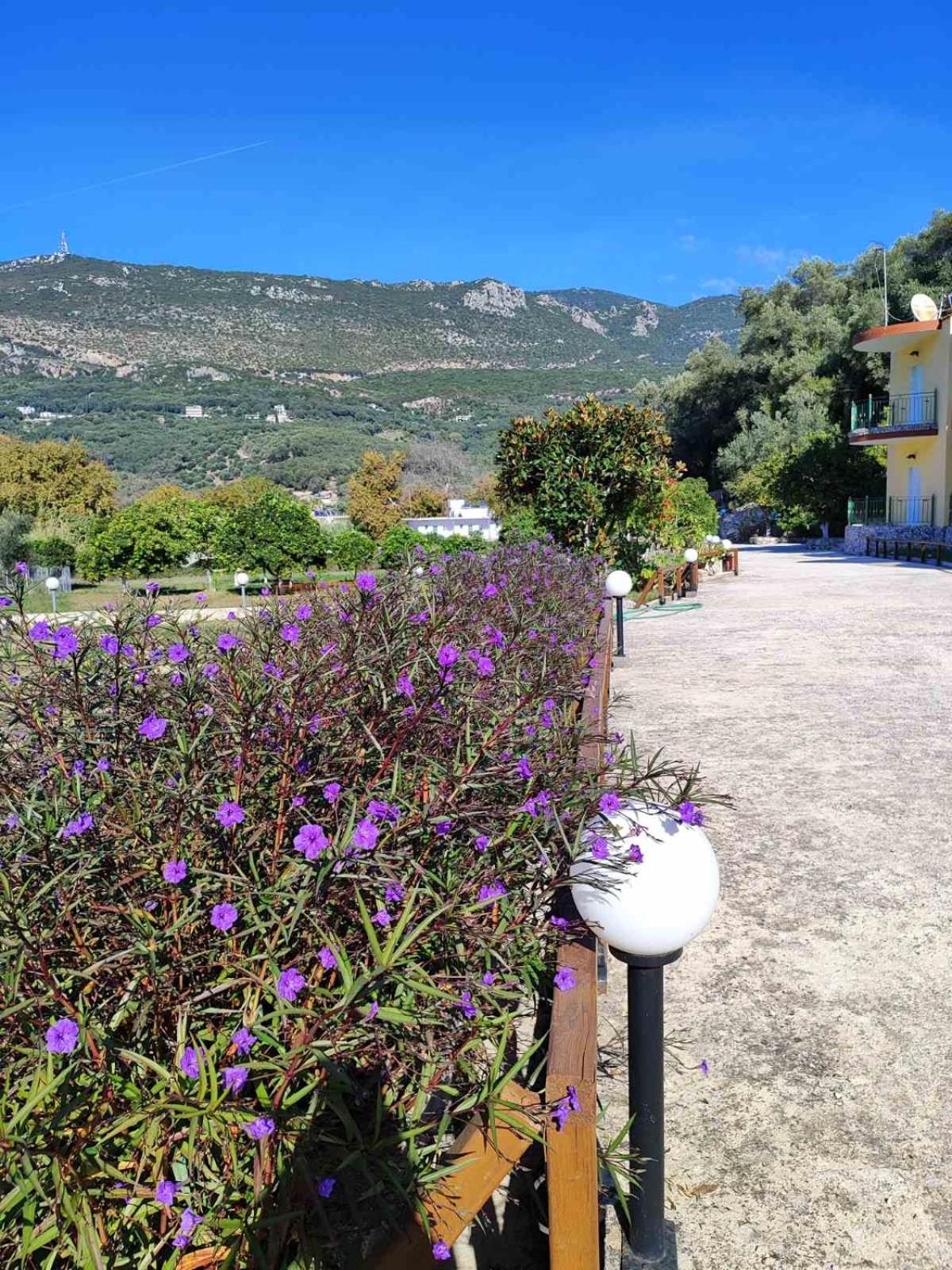 Villa Perkemes Apartments Parga Exterior photo